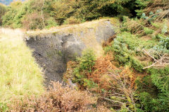 
St Illtyds Colliery tip canyon, Llanhilleth, October 2010